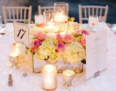 Wedding1-656