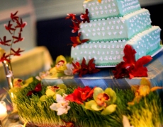 Wedding3--9